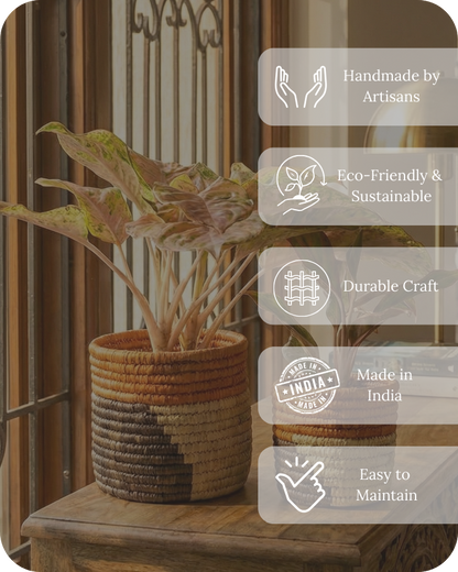 HAVEN OF HUSK  (SET OF 2)