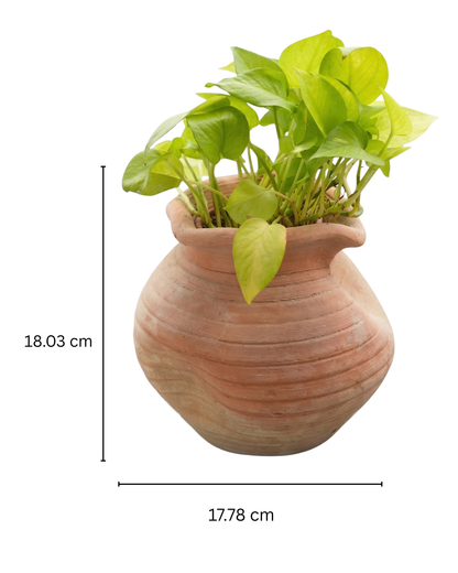 Contemporary Twisted