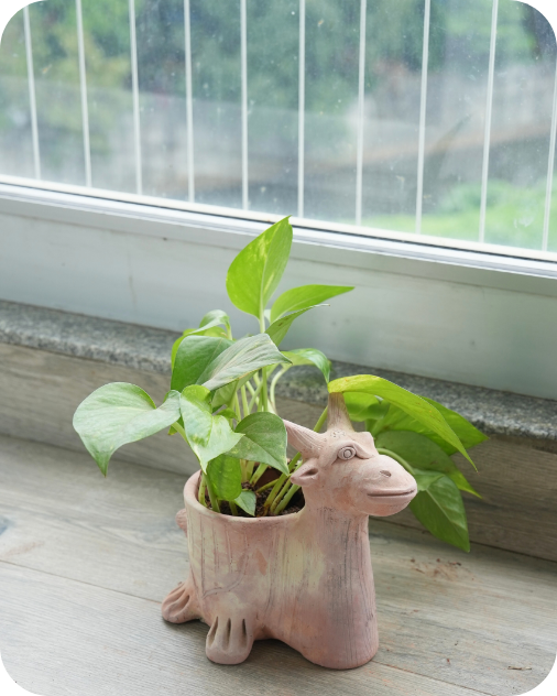 Mini Antler