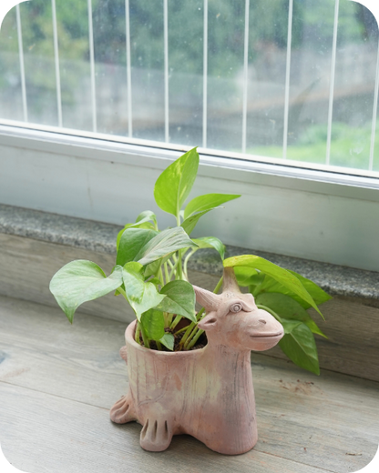 Mini Antler