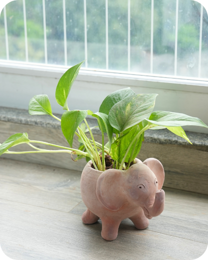Thanksgiving Tabletop Planters