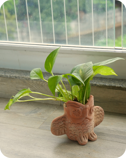 Thanksgiving Tabletop Planters