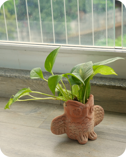 Thanksgiving Tabletop Planters