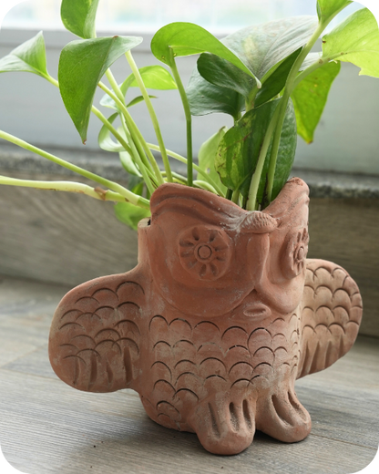Mini  Owl Oasis