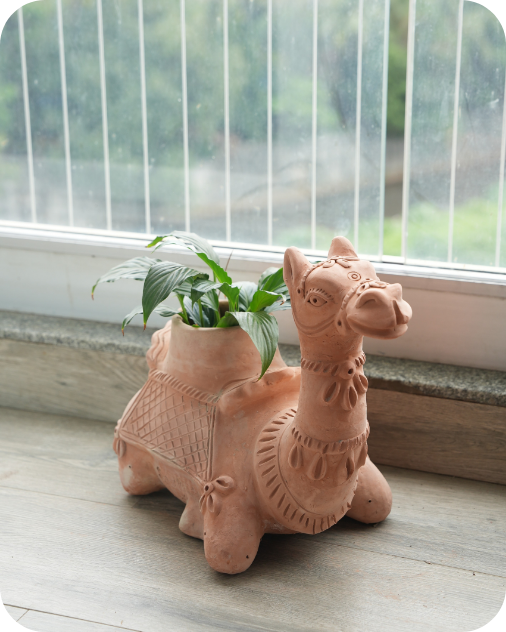 Hump Camel