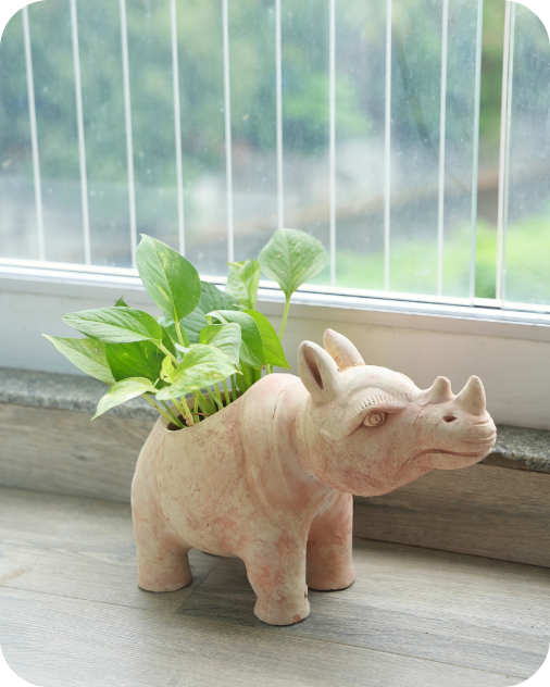 Earthy Rhino
