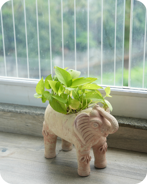 Royal Elephant
