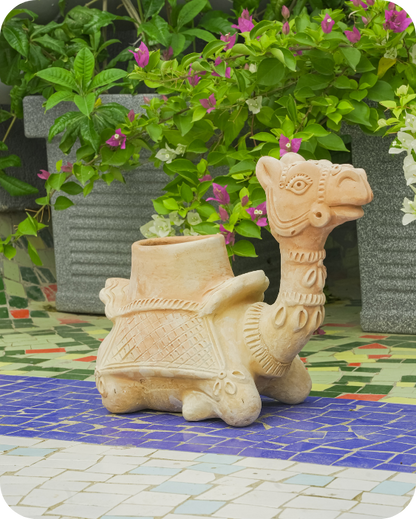 Hump Camel