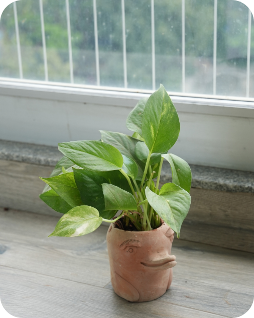 Thanksgiving Tabletop Planters