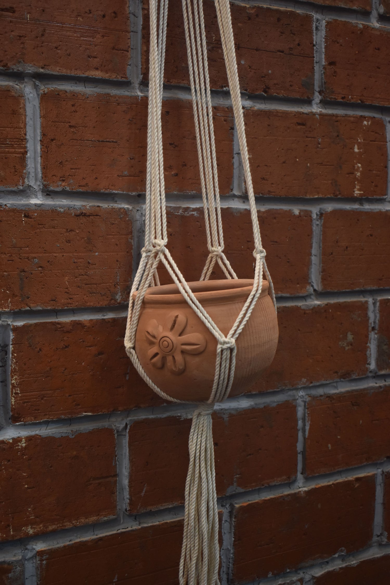 Nova-Macramé- Planter- Combo