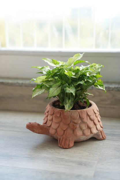 Thanksgiving Tabletop Planters