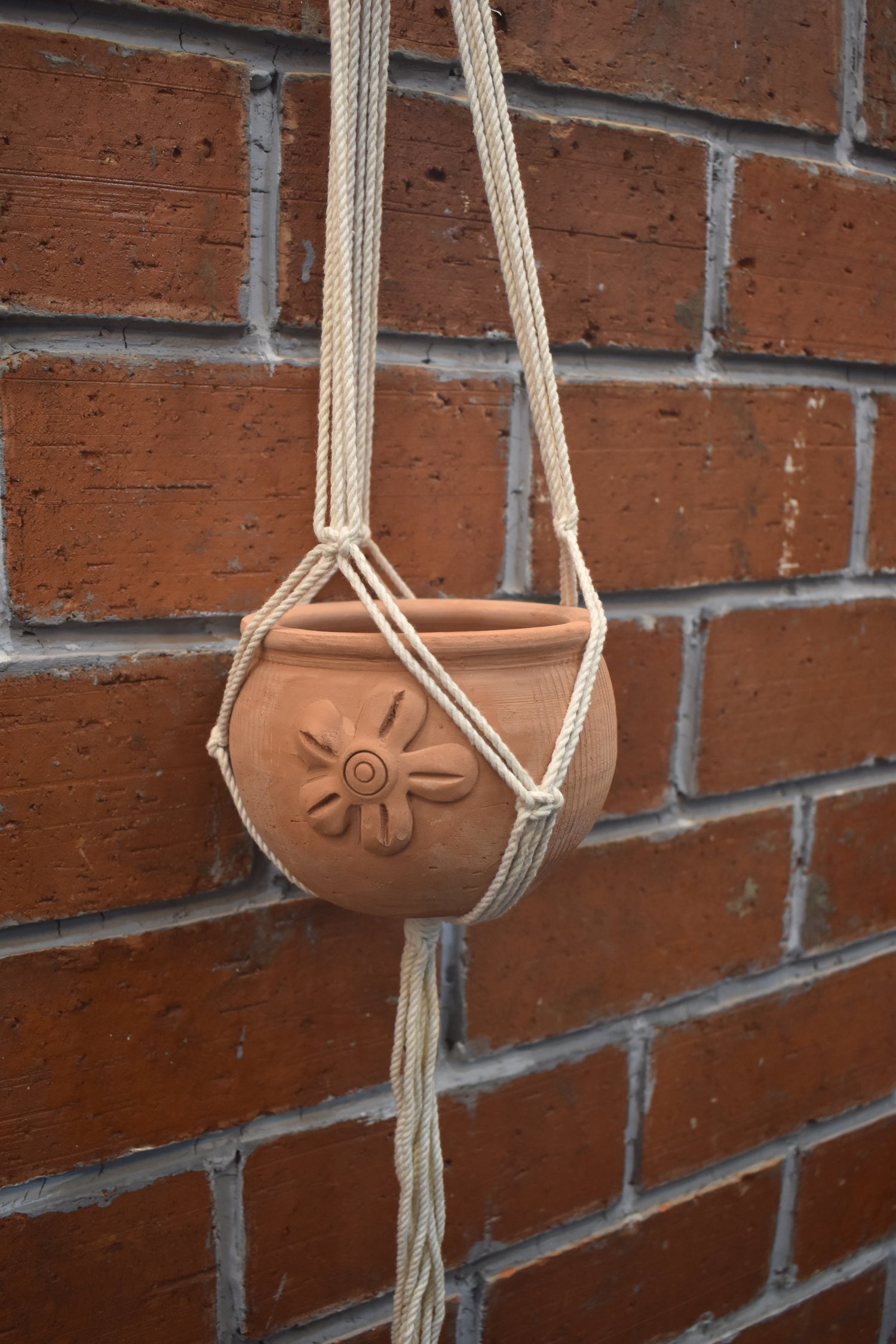 Fern- Macramé -Planter -Combo