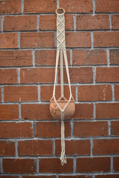 Fern- Macramé -Planter -Combo
