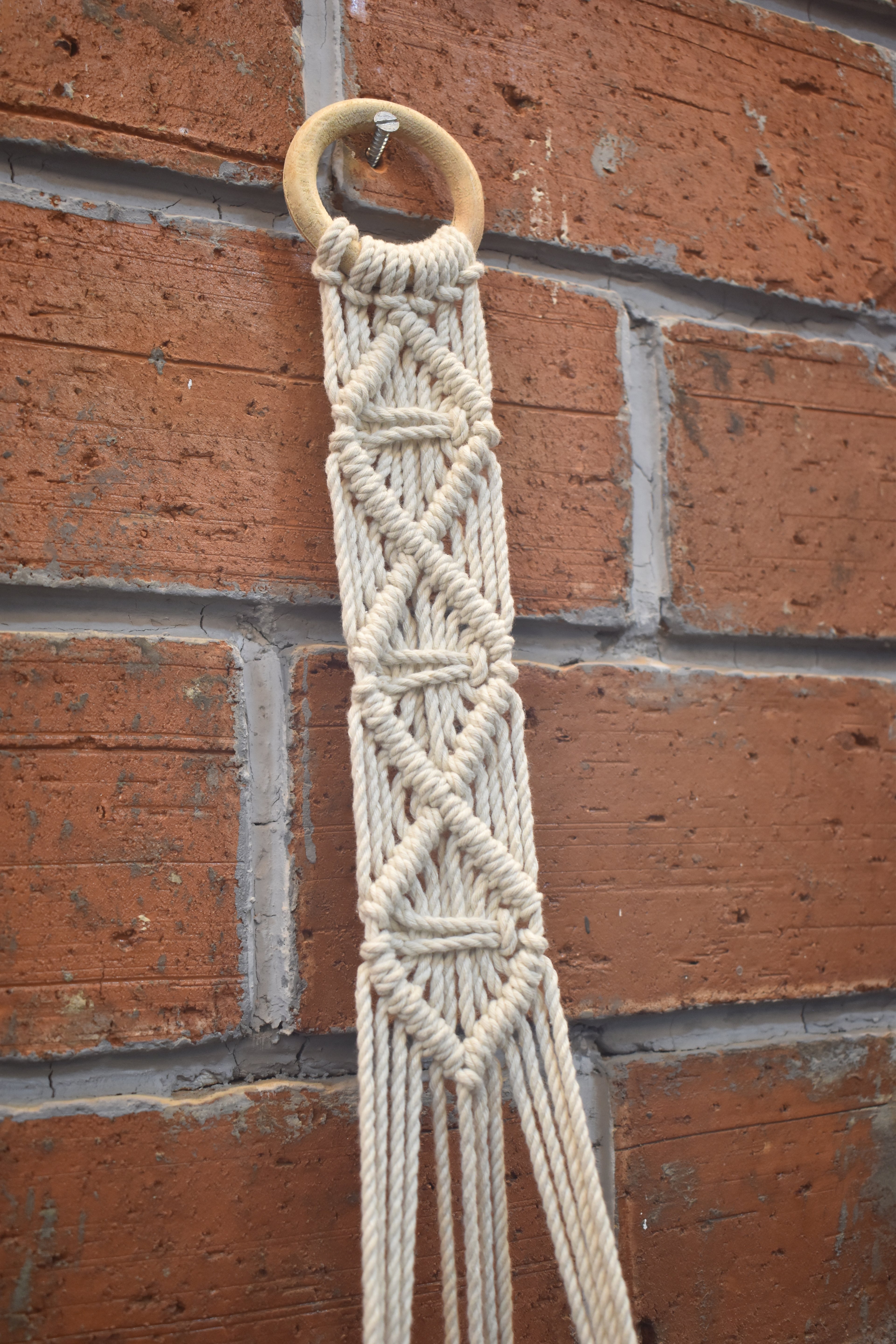 Cedar-Macramé - Planter- Combo