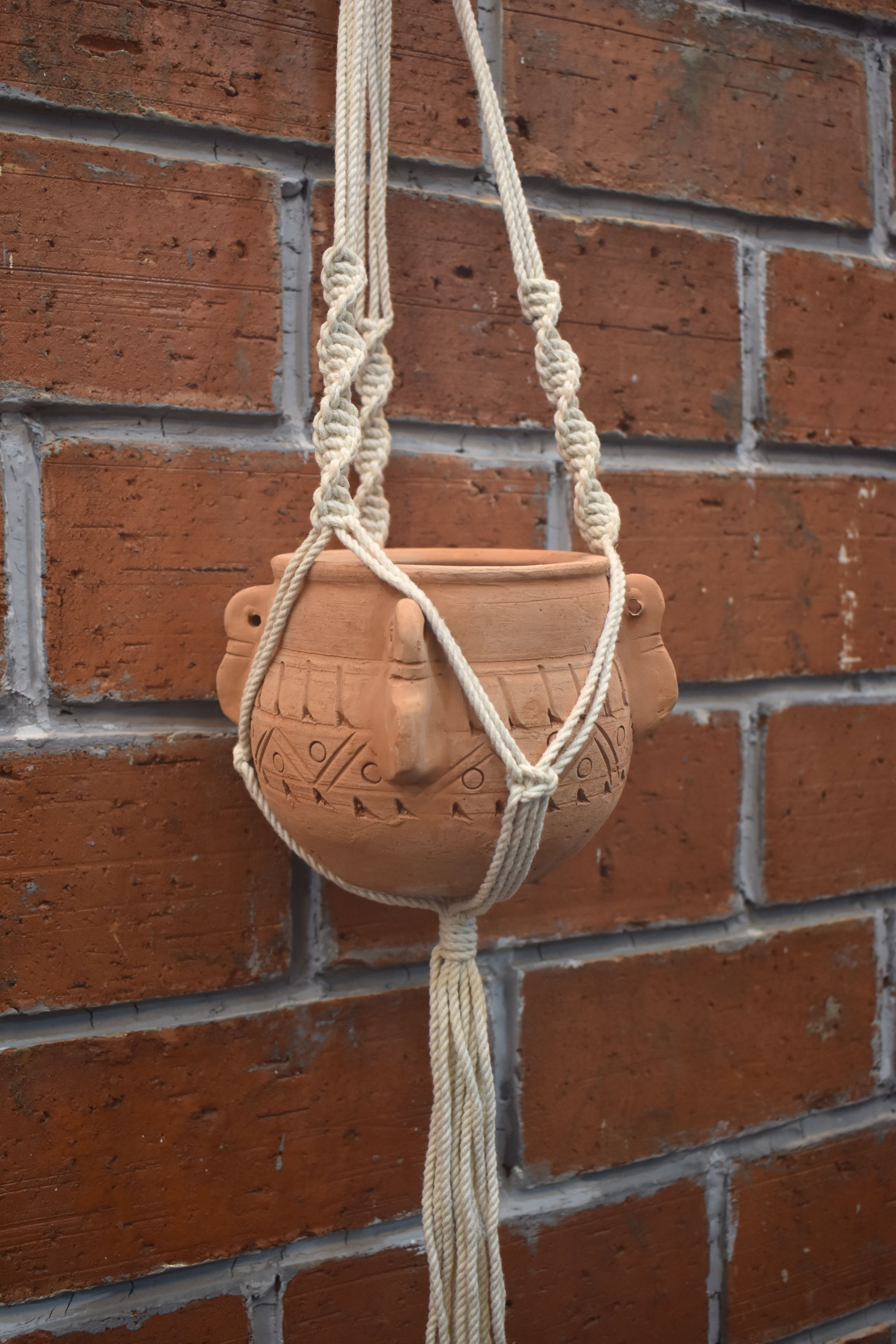 Hazel-Macramé - Planter- Combo