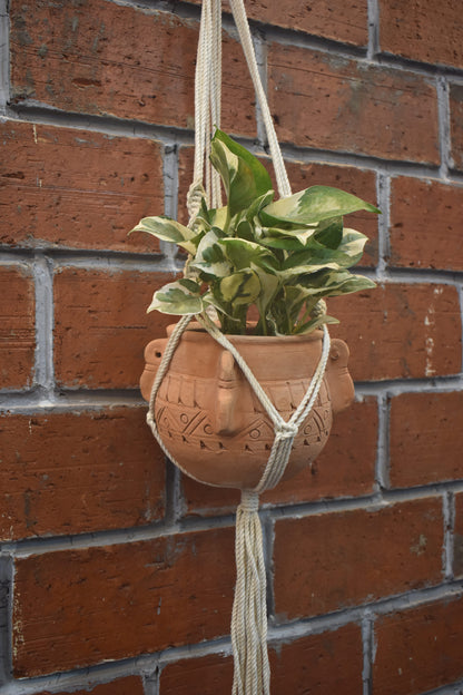 Hazel-Macramé - Planter- Combo