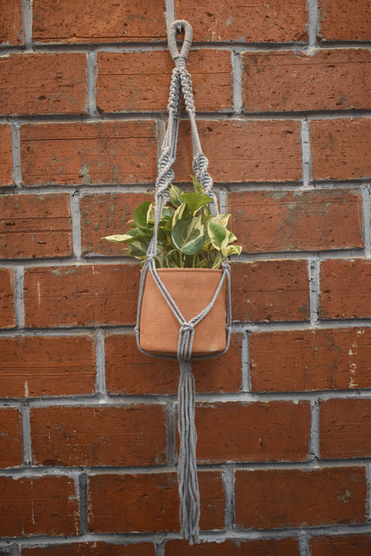 Sage-Macramé-Planter- Combo