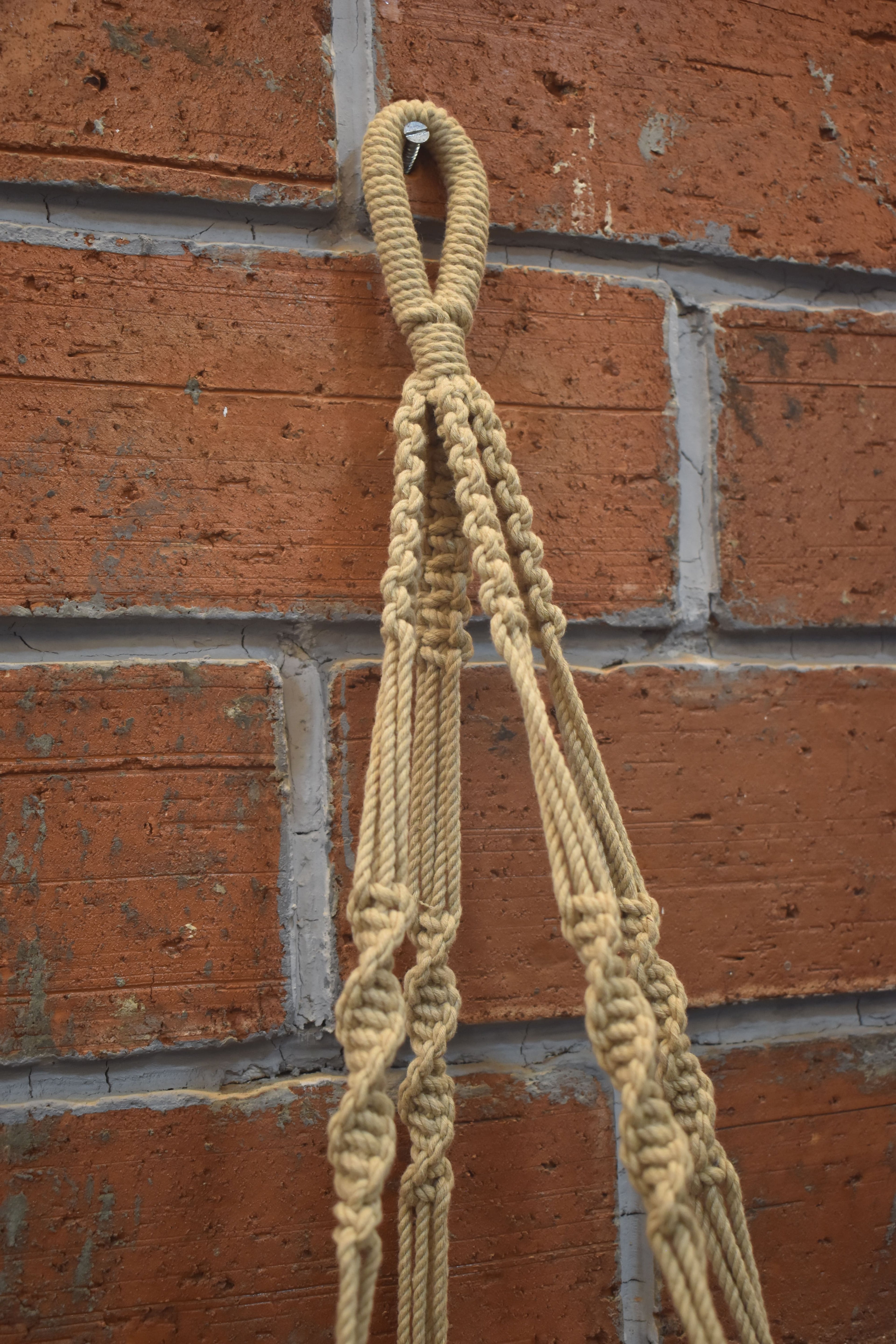 Ivy-Macramé Plant Holder