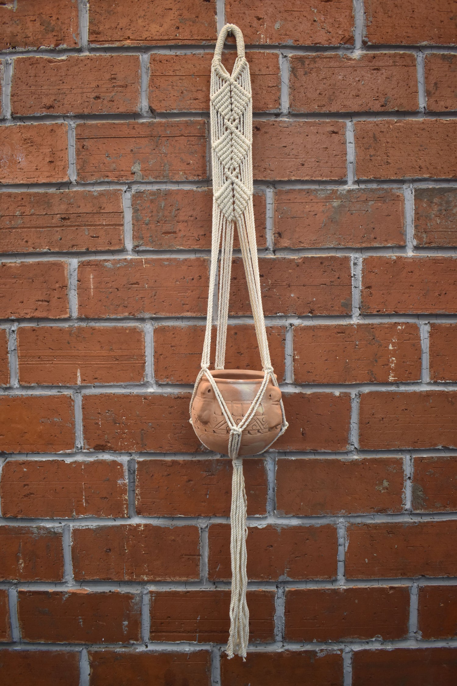 Maple-Macramé Plant Holder