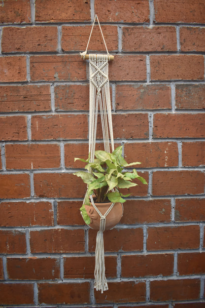 Nova-Macramé- Planter- Combo
