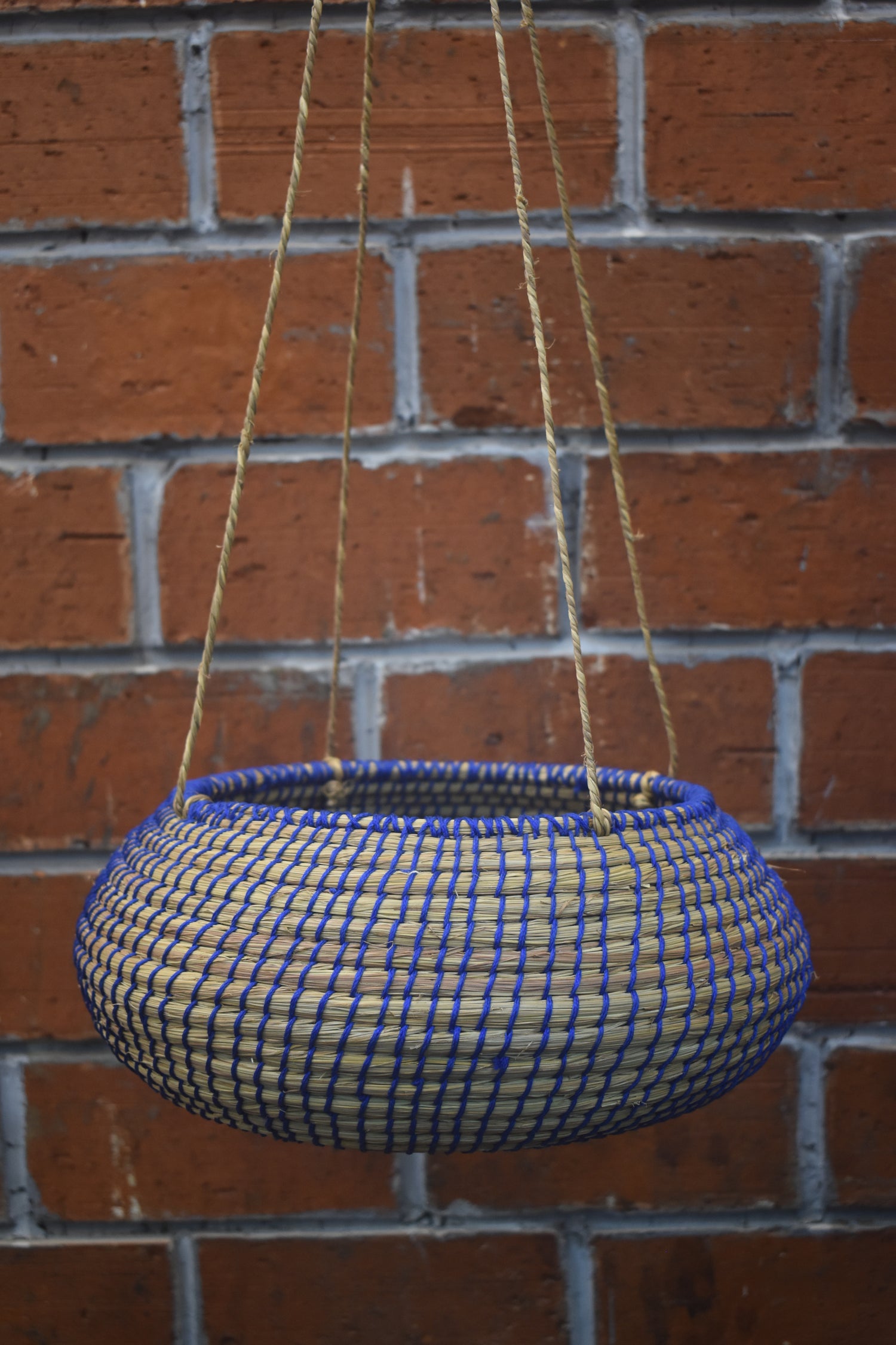 Twilight Trail Planter