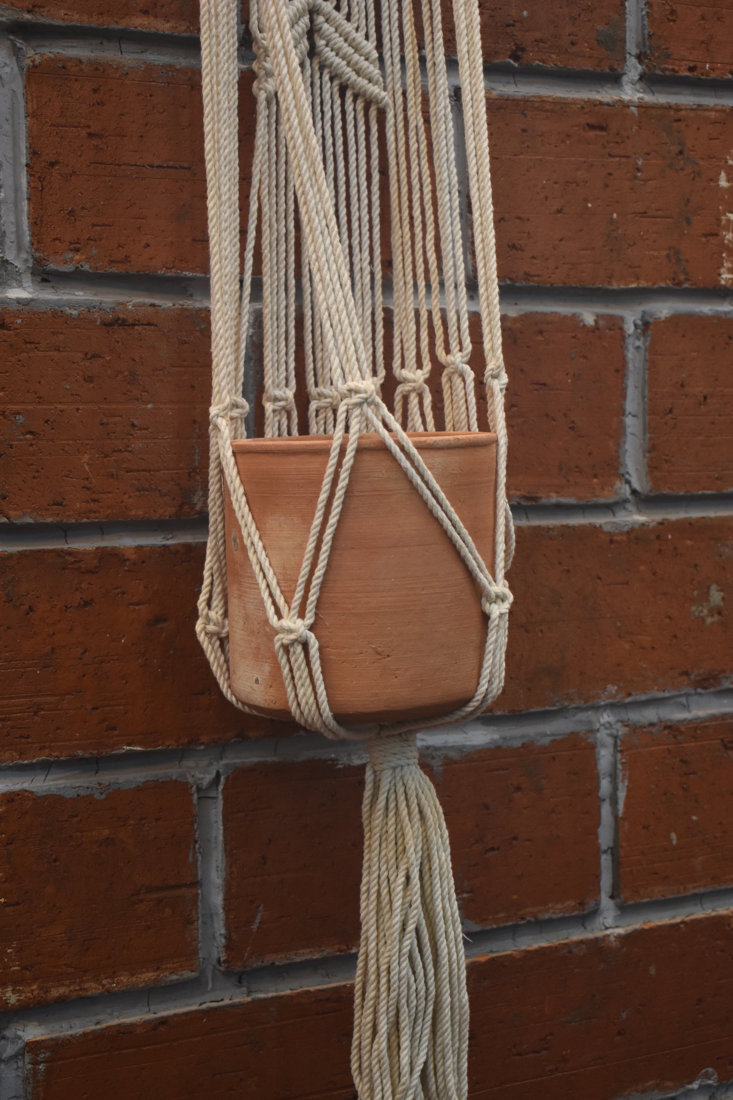 Flora-Macramé- Planter- Combo
