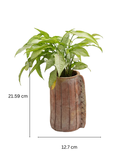 Eco Edge