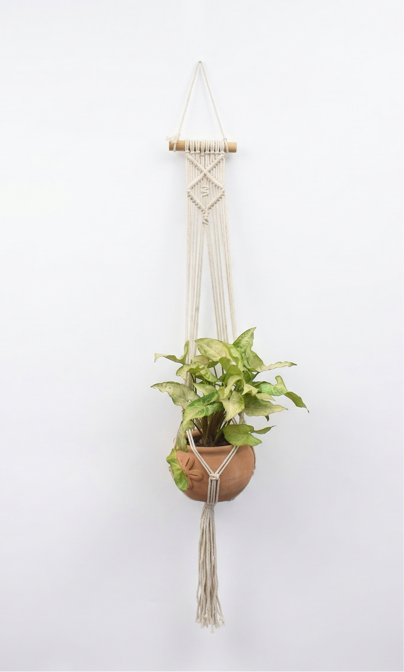 Nova-Macramé Plant Holder