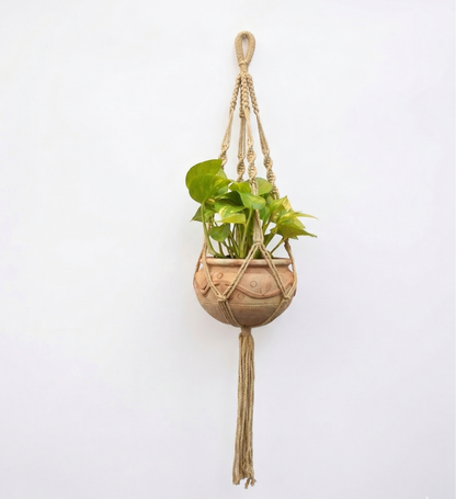 Ivy-Macramé Plant Holder