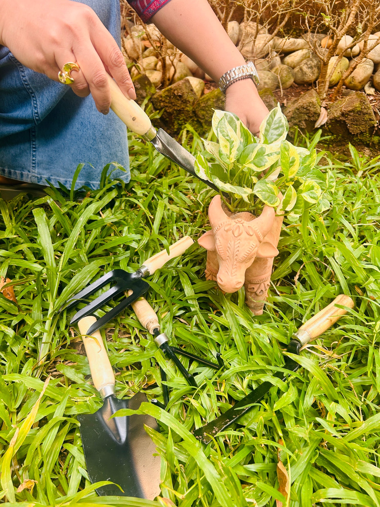 All-in-One Garden Tool Kit