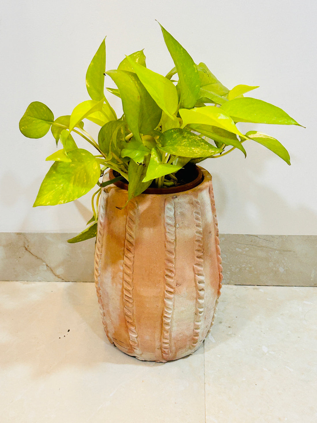 PAKHAVAJ RAAG