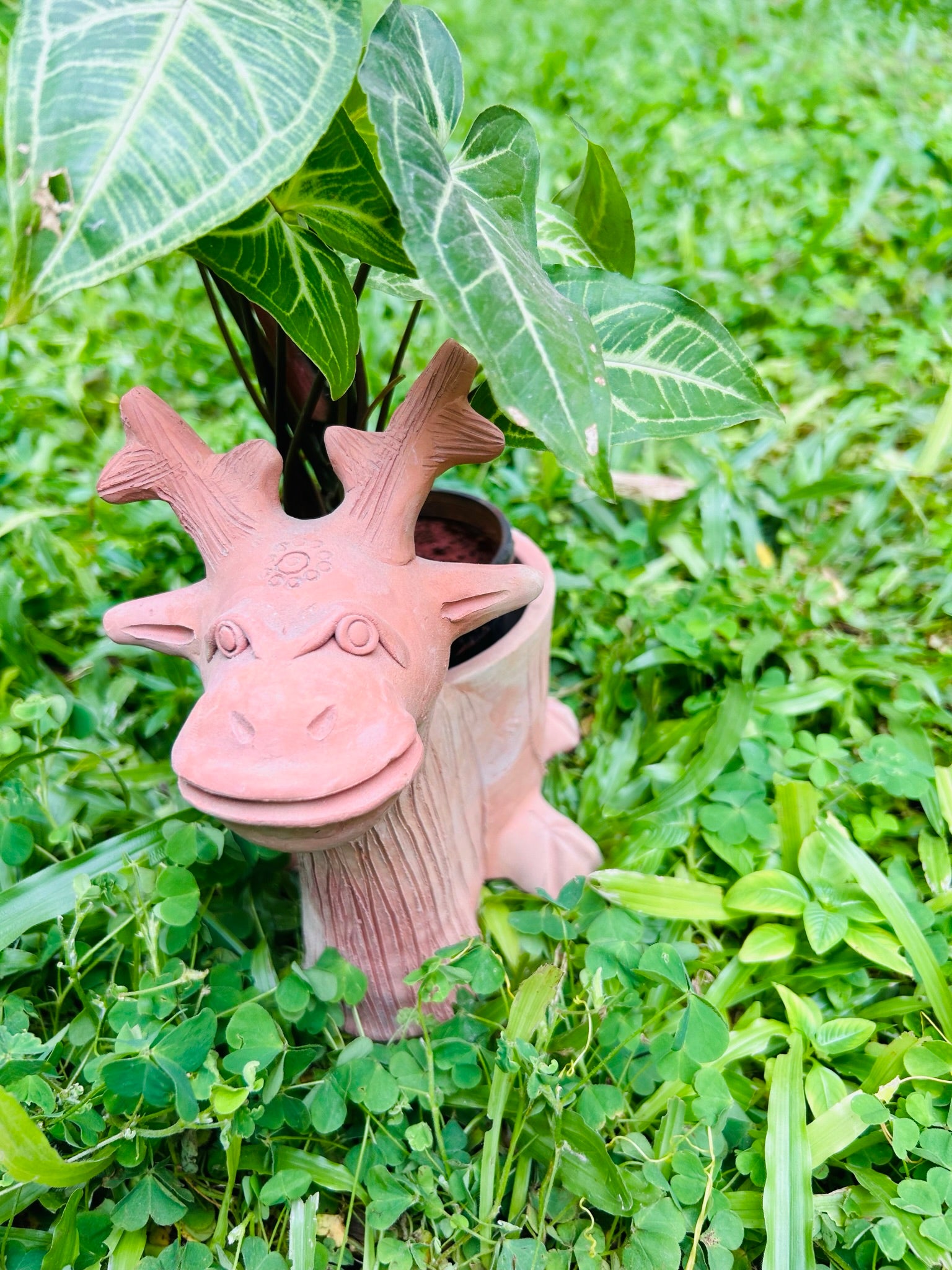 Mini Antler
