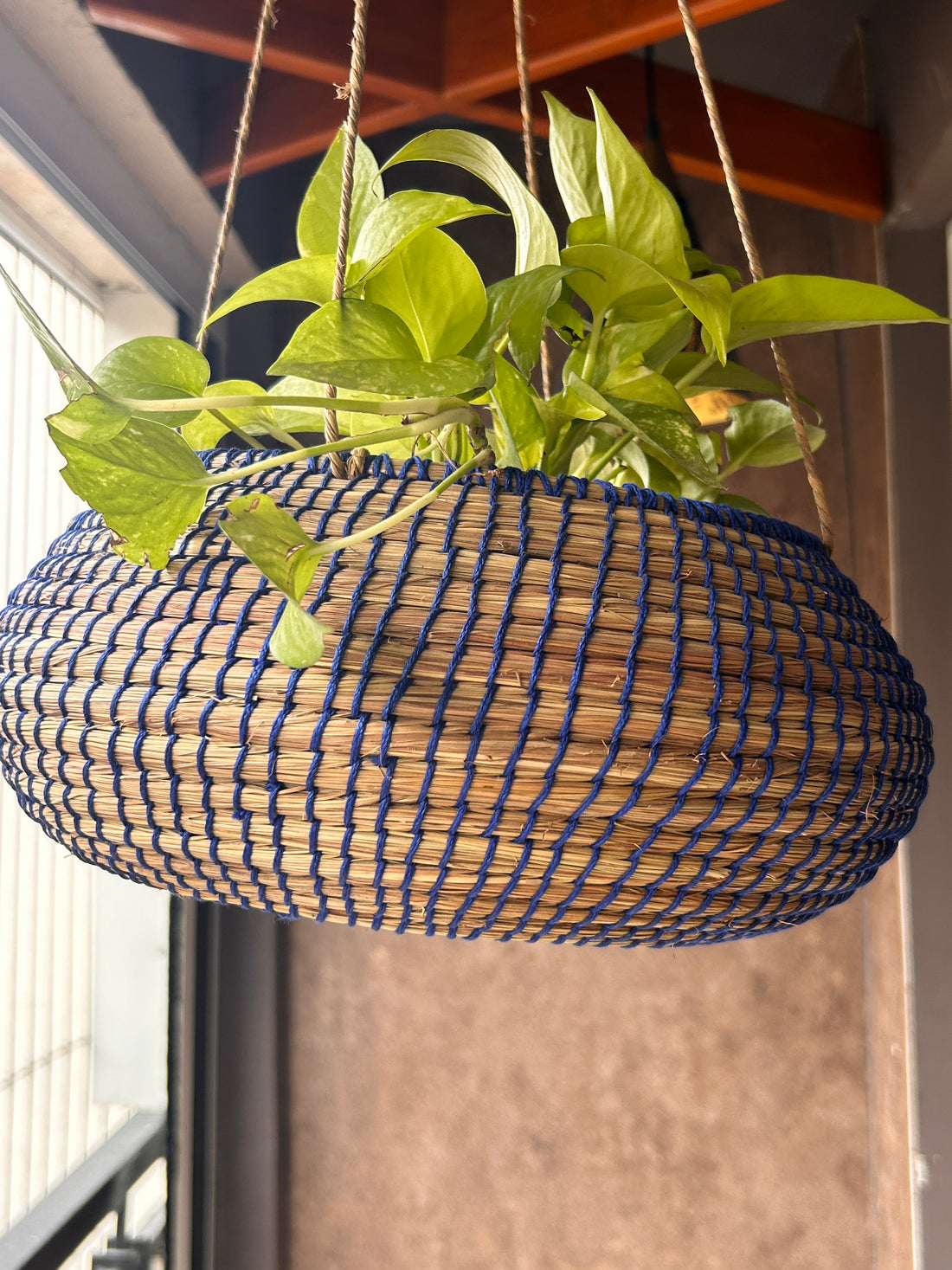 Twilight Trail Planter