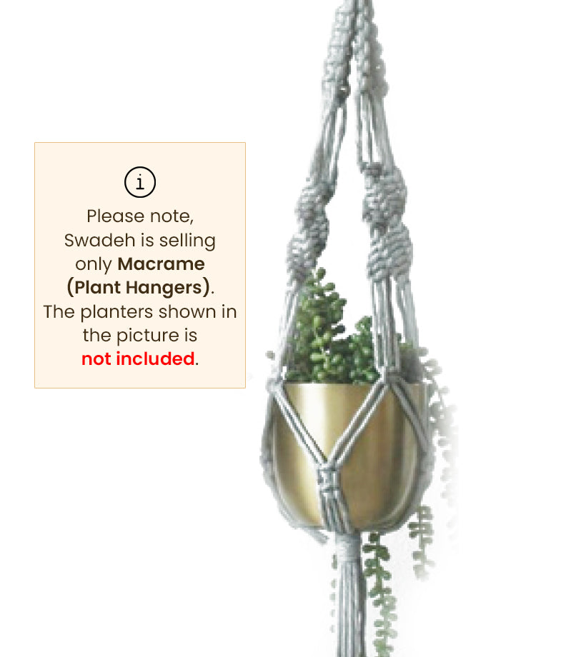 Sage-Macramé Plant Holder