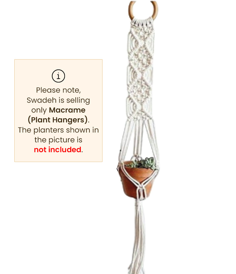 Fern-Macramé Plant Holder