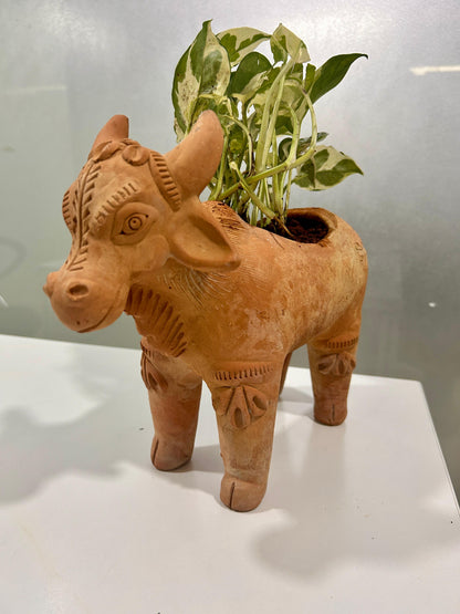 Meadow Cow