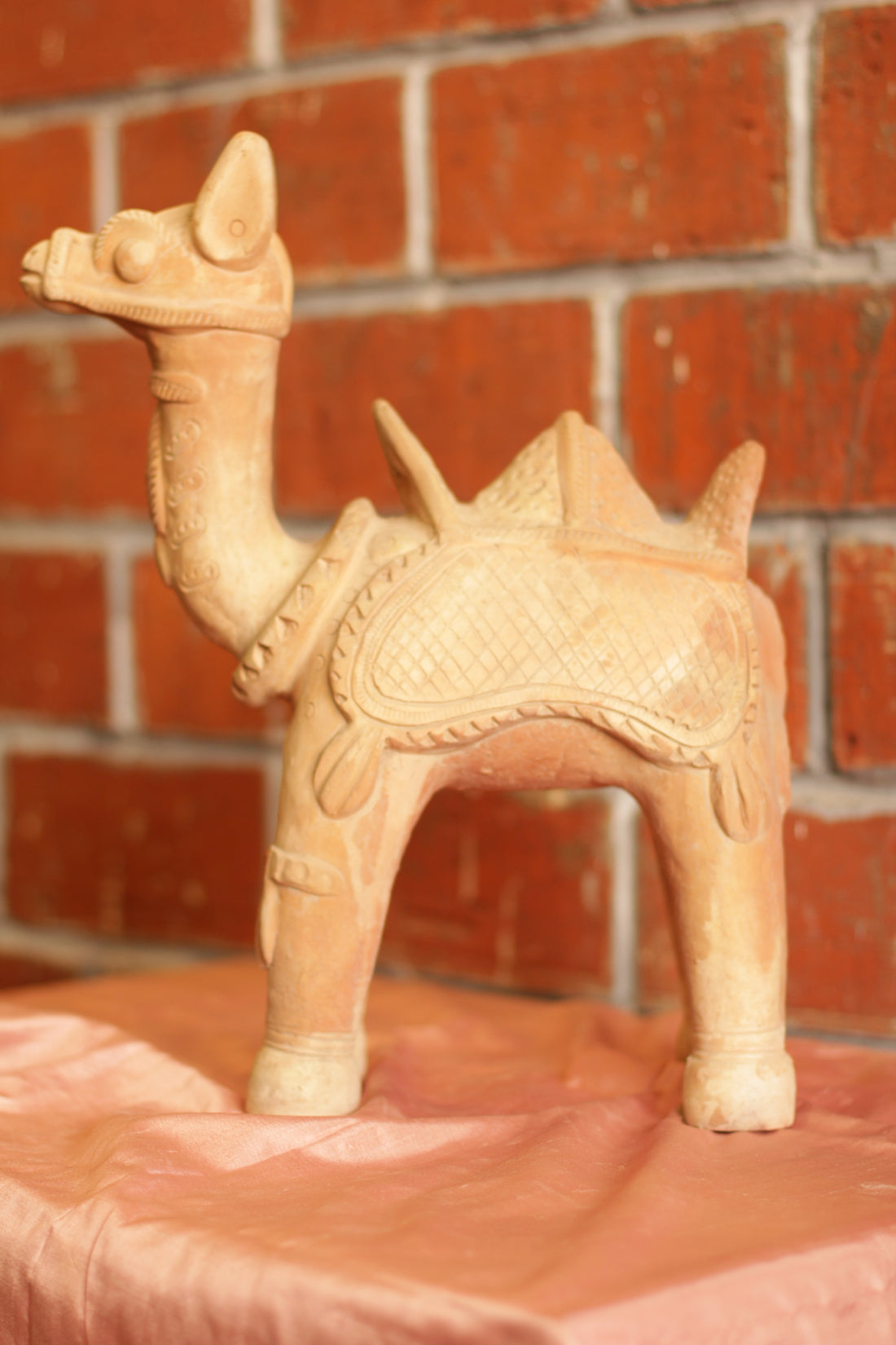 Camel