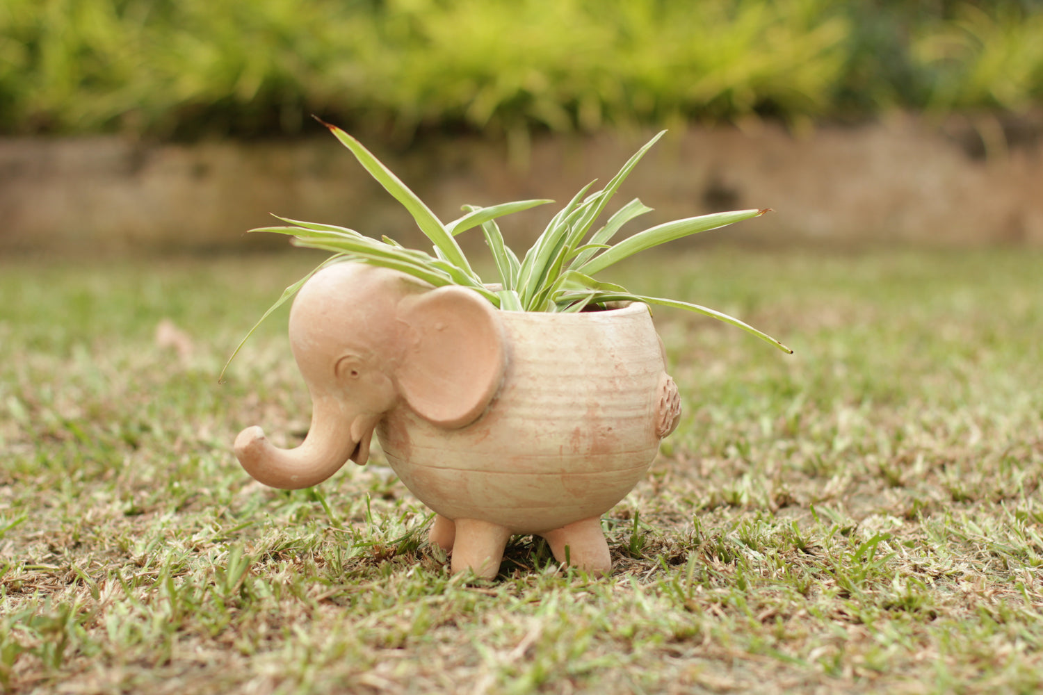 Mini Elephant