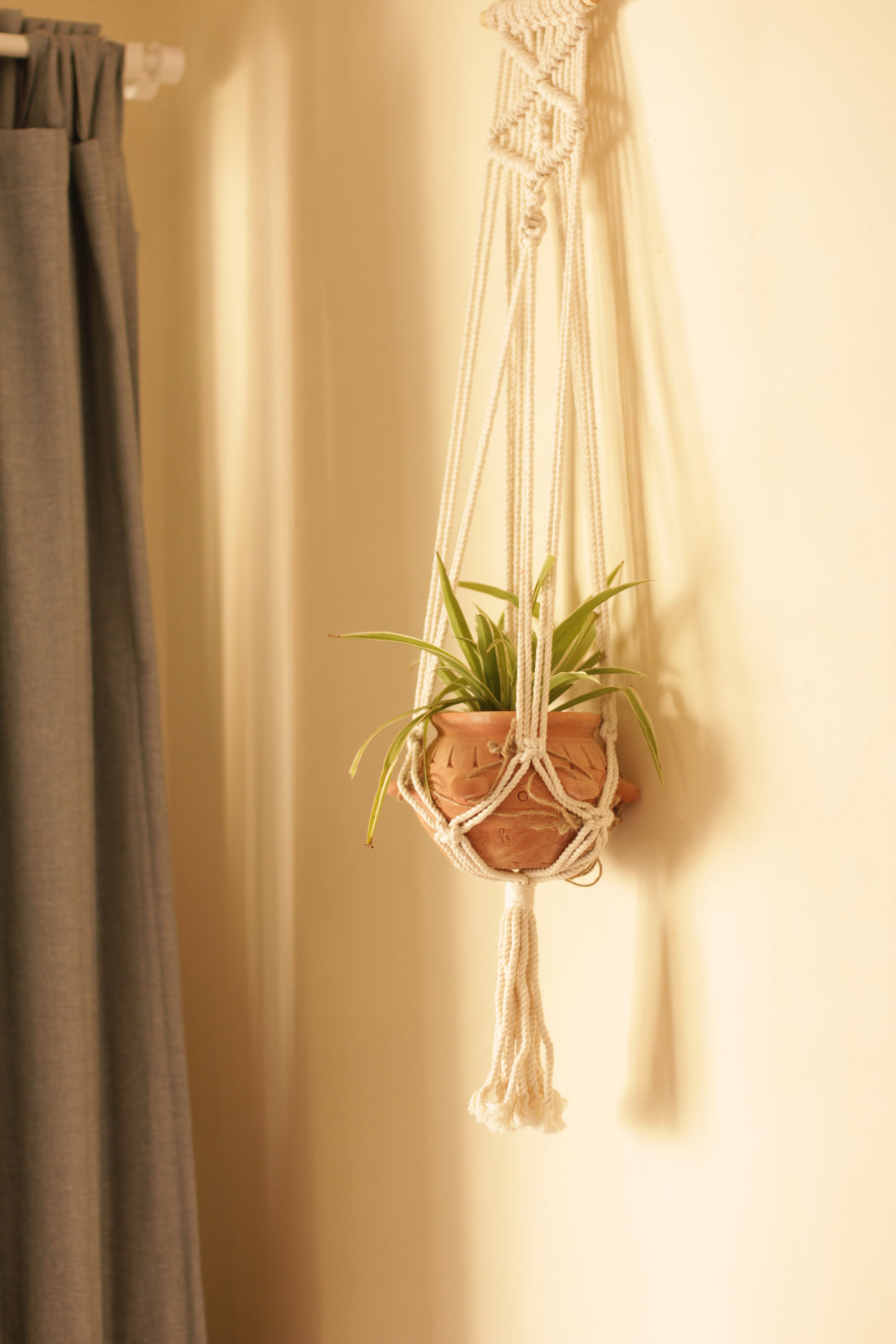 Six Nodes Hanging Planter