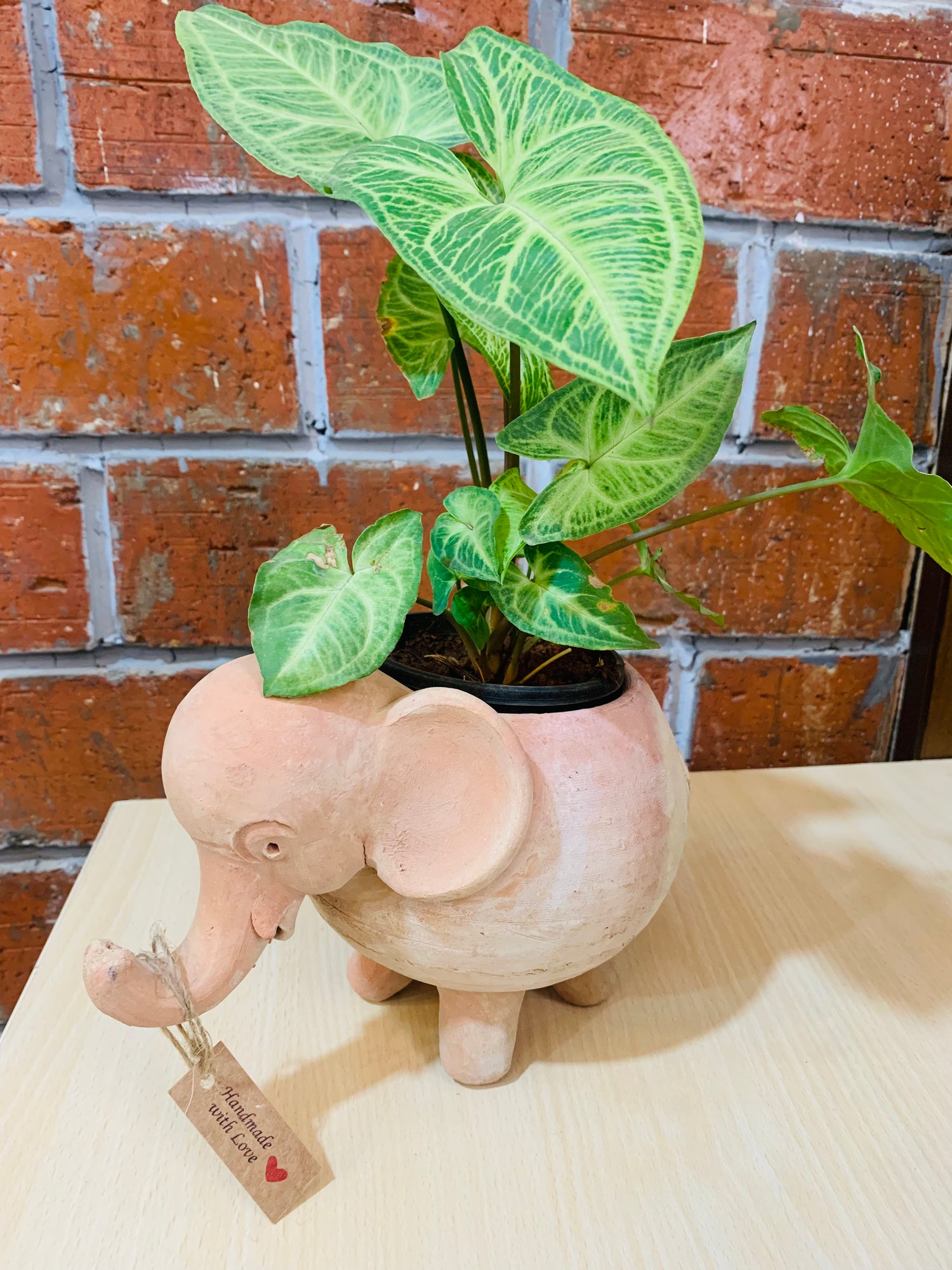 Mini Elephant